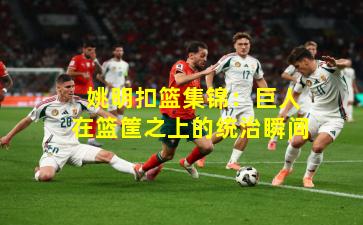  姚明扣篮集锦：巨人在篮筐之上的统治瞬间