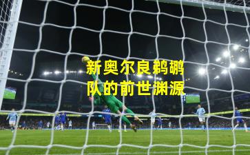 新奥尔良鹈鹕队的前世渊源