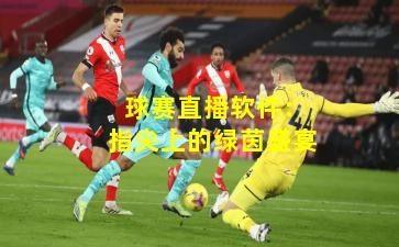  球赛直播软件：指尖上的绿茵盛宴