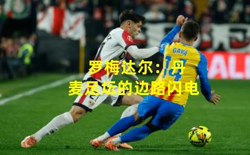 罗梅达尔：丹麦足坛的边路闪电
