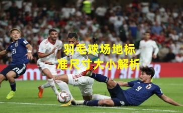 羽毛球场地标准尺寸大小解析