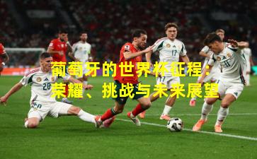 葡萄牙的世界杯征程:荣耀、挑战与未来展望