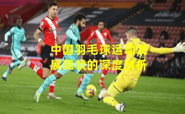 中国羽毛球运动发展现状的深度剖析